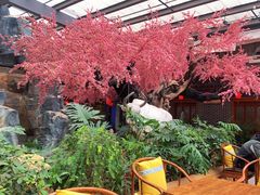 -新千丽景空中花园清真餐厅(新千国际广场店)