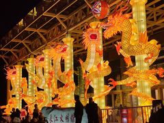 -武汉园博园(武汉自然博物馆)