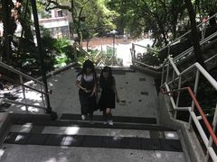 -香港大学
