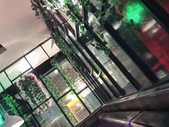 -欢乐牧场(T12店)