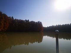 -上海海湾国家森林公园