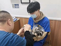 -宠福鑫动物医院(望京分院)