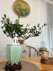 -闺蜜瑜伽·普拉提女性塑形馆