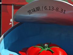 -沈阳铁西万象汇