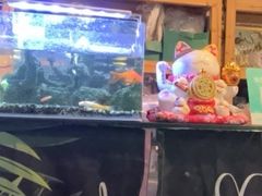 -唐·匠心·动物奶油·冰淇淋蛋糕(石岐店)