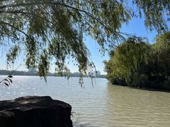 -范蠡湖公园