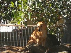 -费瑟代尔野生动物园