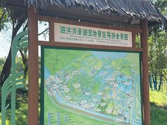 -泗洪洪泽湖湿地景区