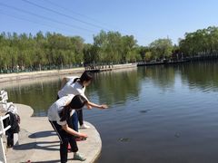 -黛秀湖公园