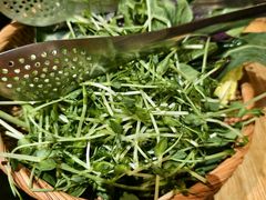 景迈山野菜拼-一朵菌·野生菌探索家火锅(南亚店)