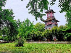 -四川大学(华西校区)