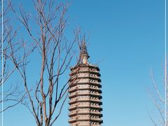 -西海子公园