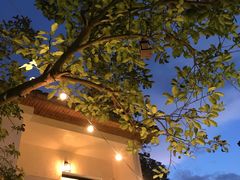 -云里小坐·小院里·团建·宴请·下午茶(三圣乡店)
