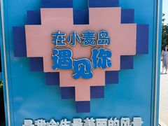 -小麦岛公园
