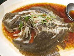 清蒸多宝鱼-旺顺阁海鲜广场(亚运村店)