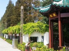 -瀛洲公园