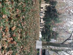 -T80科技文化国际社区-停车场