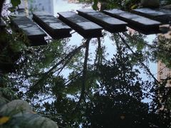 -成都市活水公园