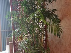 -宝鸡民族饭庄(英达路店)