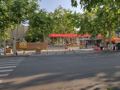 -山东省青岛第二中学(江西路分校)