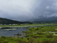 -腾冲北海湿地