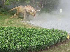 -东平国家森林公园