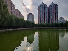 -团结湖公园