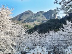 -高岚大峡谷旅游度假区