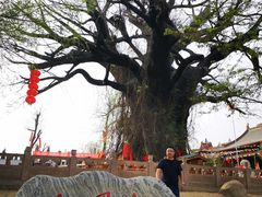 -大槐树寻根祭祖园