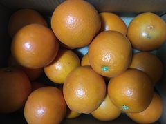 -嘿嘛仓储购(华明店)