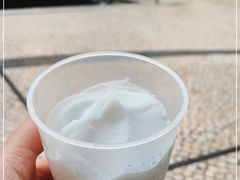-洪馨椰子
