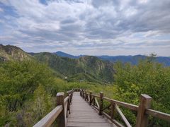 -大岭沟猕猴桃谷风景区