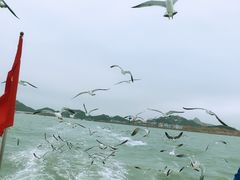 -海驴岛(荣成市)