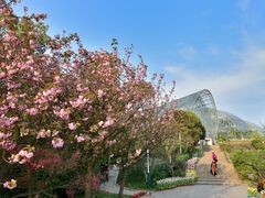 -南山植物园
