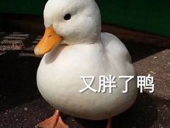 -大叔家福鼎小吃(十全街店)