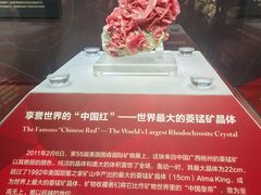 -湖南省地质博物馆