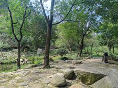 -武汉姚家山旅游景区