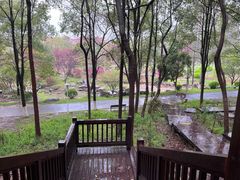 -洪湖悦兮半岛国际温泉度假村