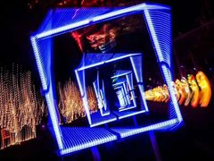-锦江乐园舞狸花花游园会(夜场专享)