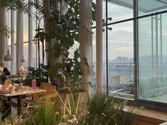 -Seesaw Coffee(朝阳大悦城店)