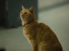 -金逸影城(明发IMAX店)