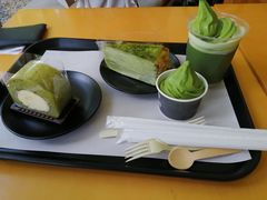 -雪绿茶博物馆