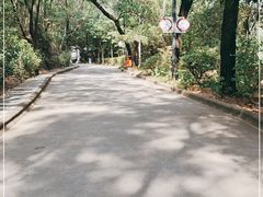 -榴花公园