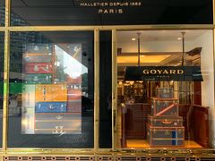 -Goyard 高雅德(国贸商城店)