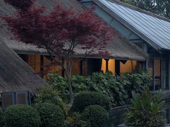 -老房子金沙元年川菜食府·花园餐厅(金沙店)