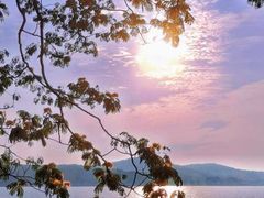 -水上明月·湖景餐厅