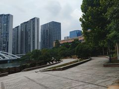 -洋湖国家湿地公园