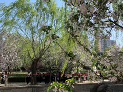 -元大都城垣遗址公园