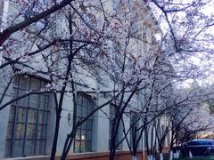 -云南师范大学(一二一西南联大校区)