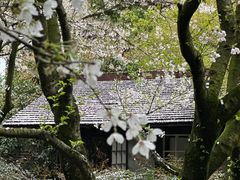 -中国茶叶博物馆(双峰馆区)